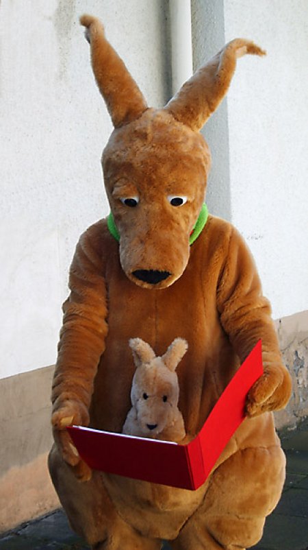 Känguru