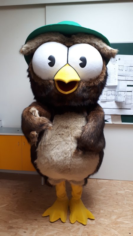 Übi