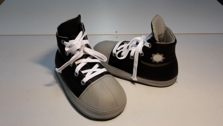 Schuhe Füße Pfoten