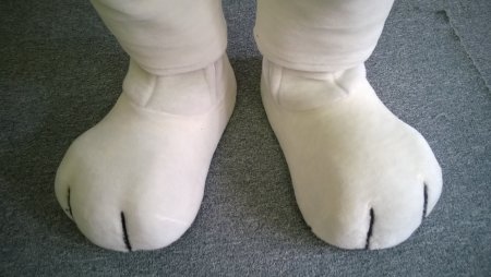 Schuhe Füße Pfoten