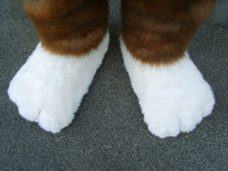 Schuhe Füße Pfoten