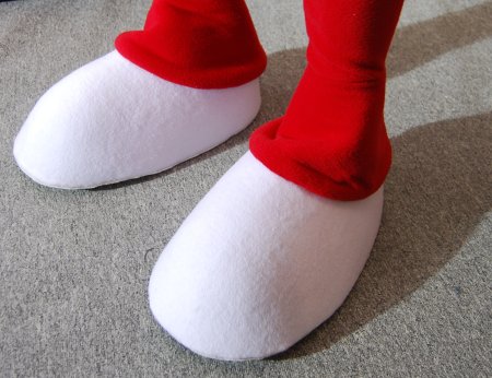Schuhe Füße Pfoten