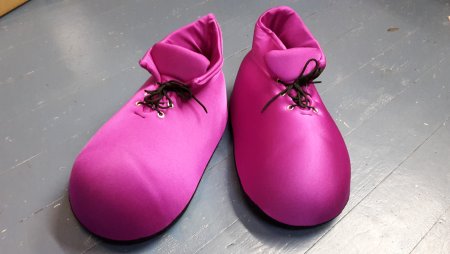 Schuhe Füße Pfoten
