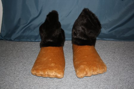 Schuhe Füße Pfoten