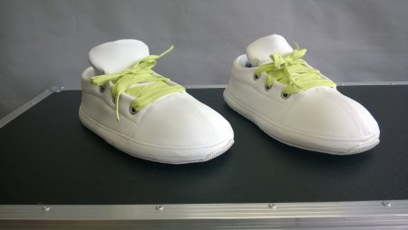Schuhe Füße Pfoten