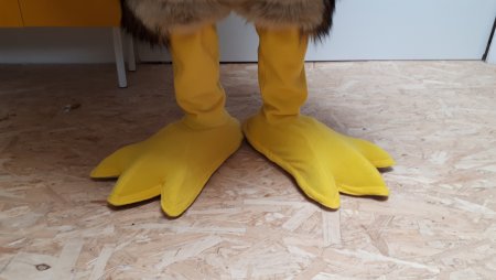 Schuhe Füße Pfoten